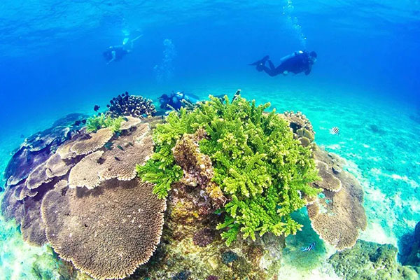 9001���Ž�ɳ