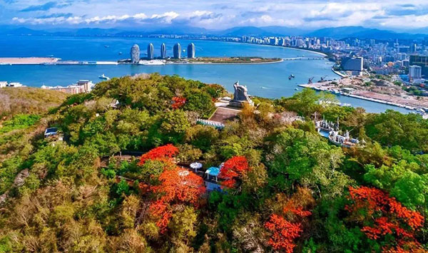 9001���Ž�ɳ