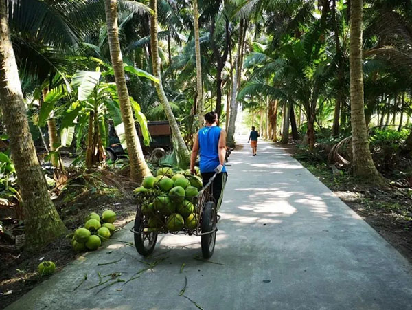 9001���Ž�ɳ