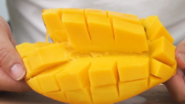 9001���Ž�ɳ