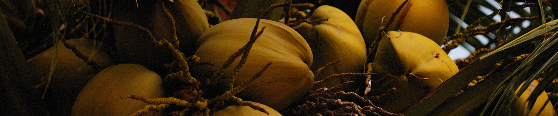 9001���Ž�ɳ