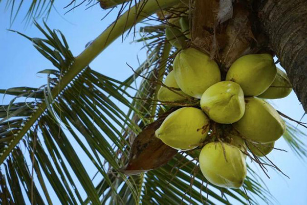 9001���Ž�ɳ