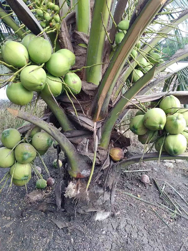 9001���Ž�ɳ