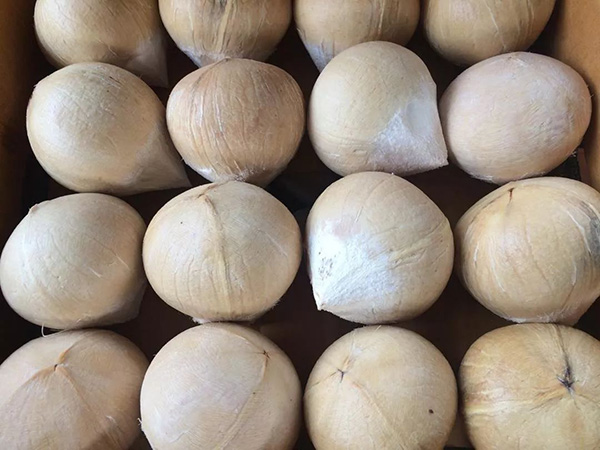 9001���Ž�ɳ