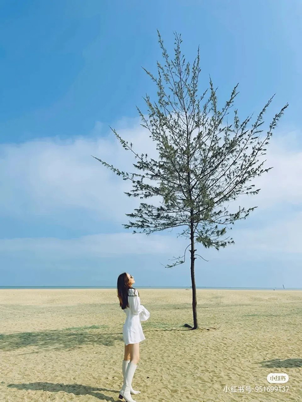 9001���Ž�ɳ