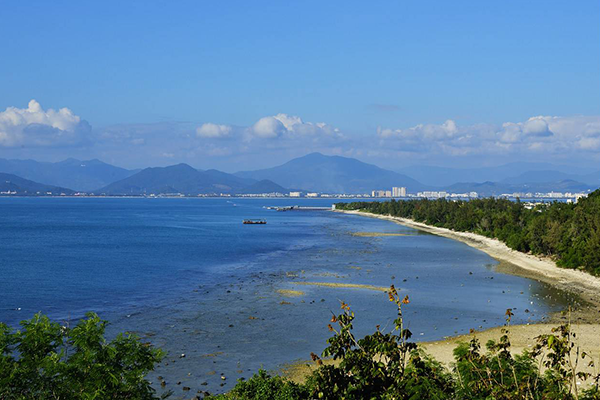 ������ɶ�ز��óԵ�